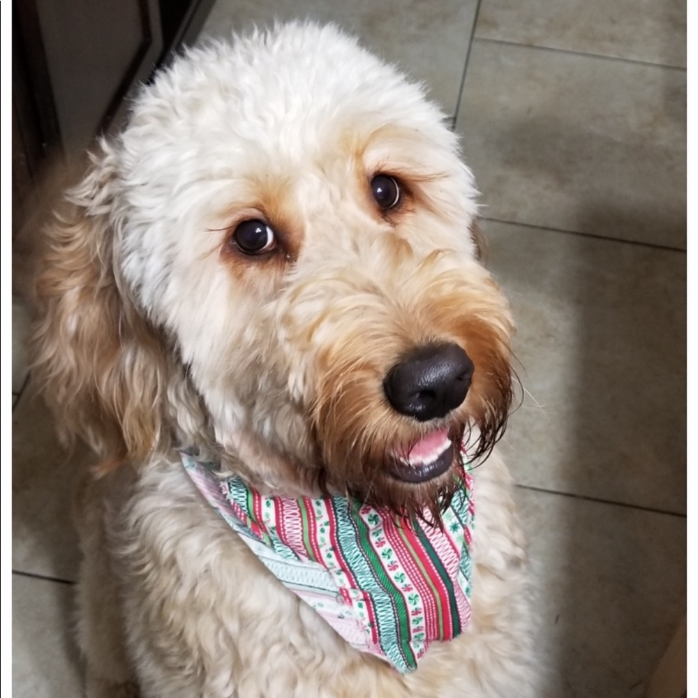 Meet your Posher, Heather